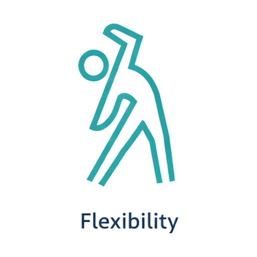 Flexibility